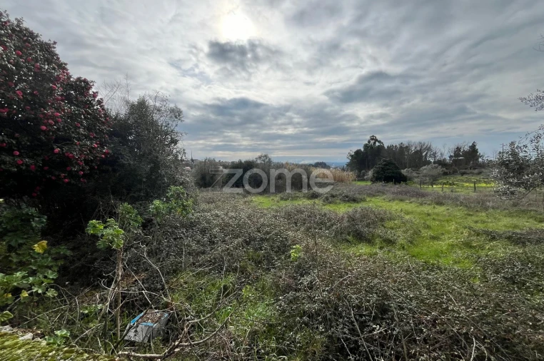 Terreno para Venda em Rio de Moinhos Foto 4