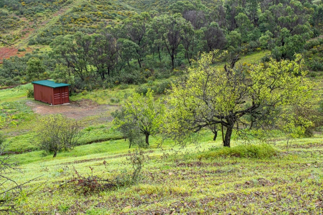 Terreno Agricola ou Rústico para Venda em Castro Marim Foto 1