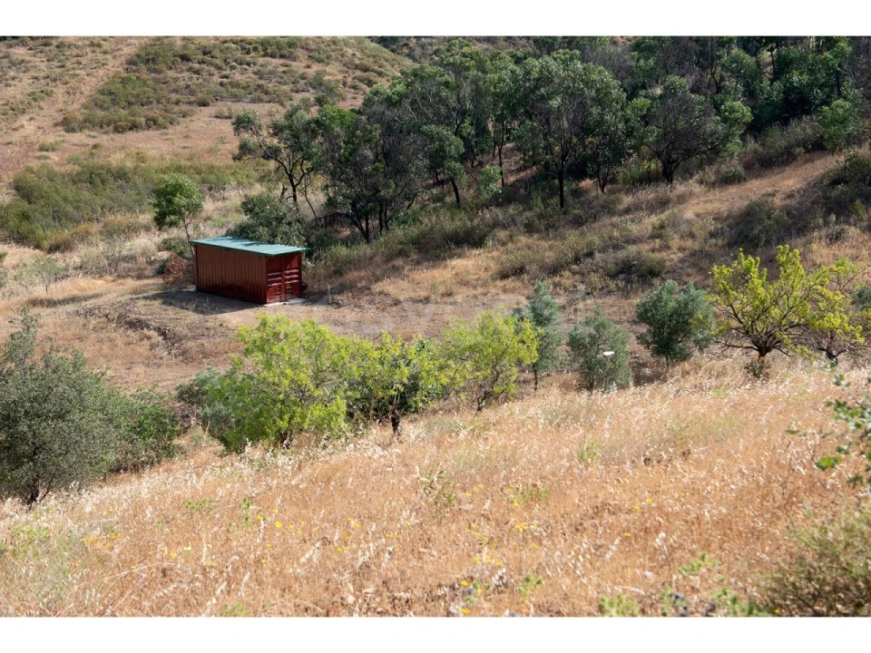 Terreno Agricola ou Rústico para Venda em Castro Marim Foto 3