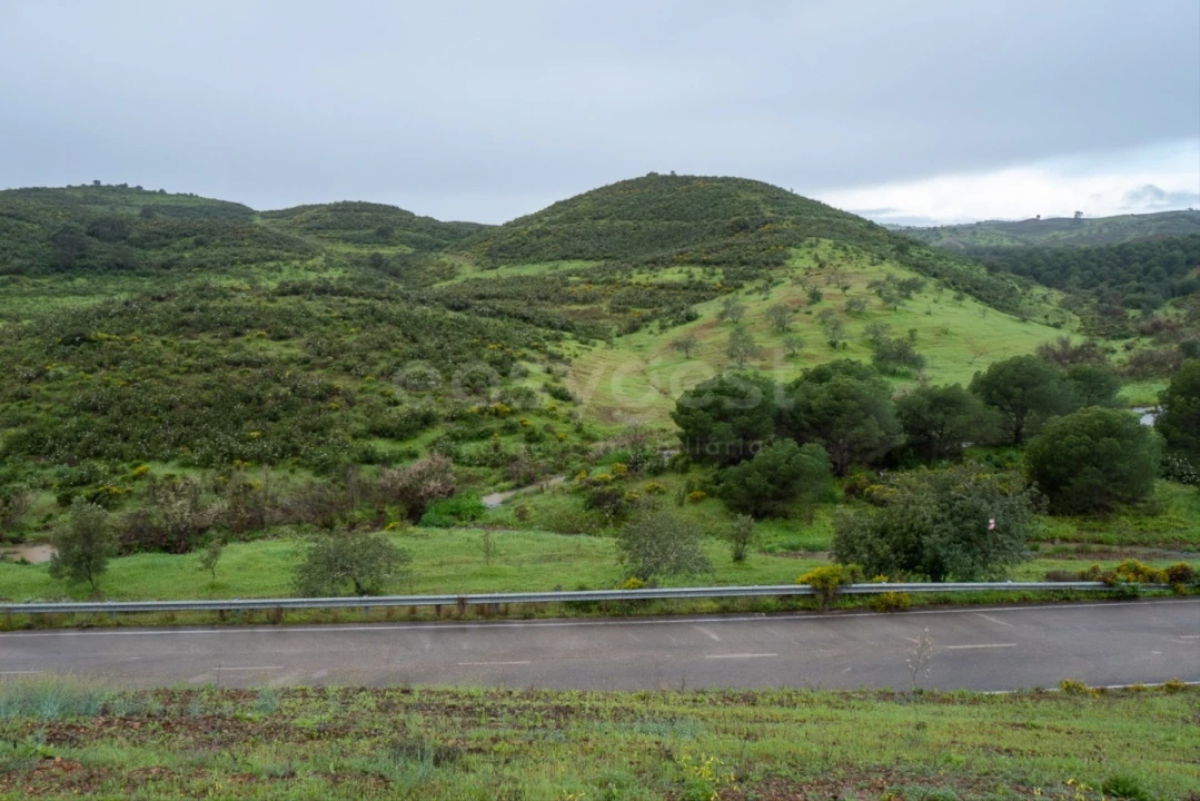 Terreno Agricola ou Rústico para Venda em Castro Marim Foto 4