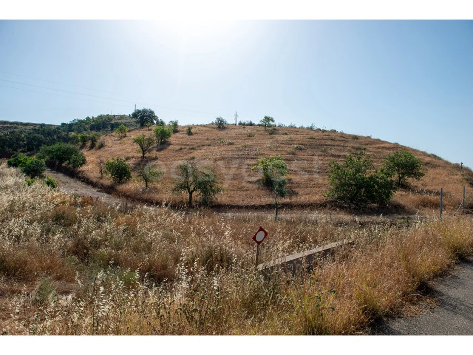Terreno Agricola ou Rústico para Venda em Castro Marim Foto 7