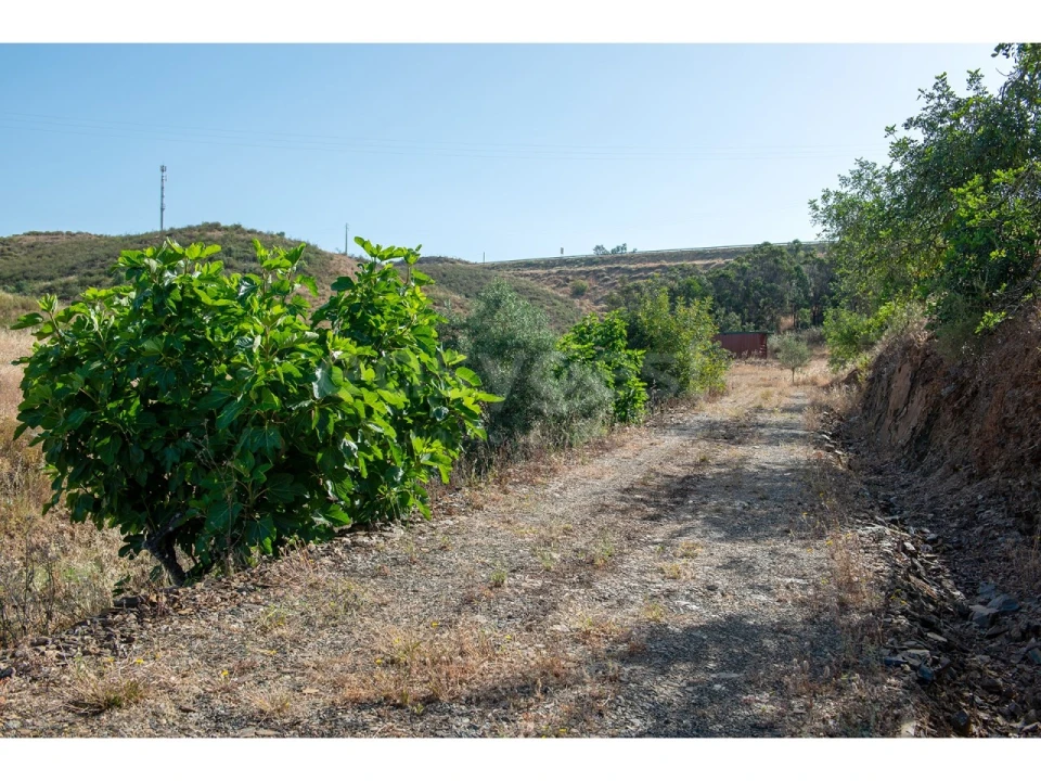 Terreno Agricola ou Rústico para Venda em Castro Marim Foto 13