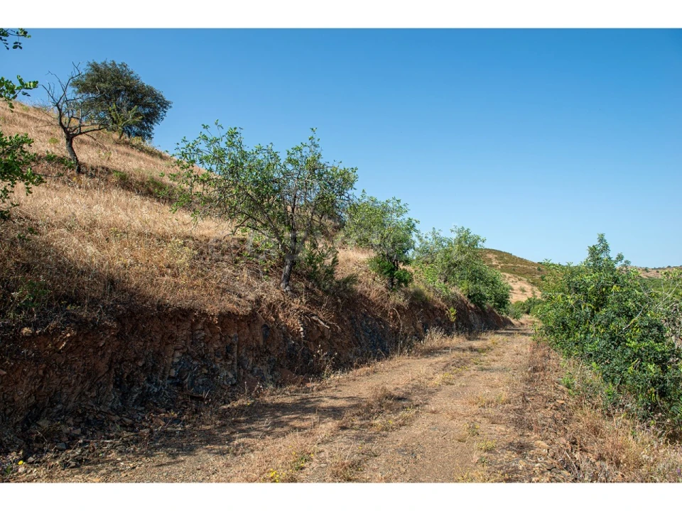 Terreno Agricola ou Rústico para Venda em Castro Marim Foto 16