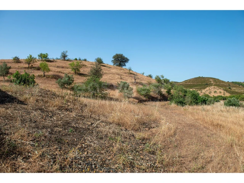 Terreno Agricola ou Rústico para Venda em Castro Marim Foto 17