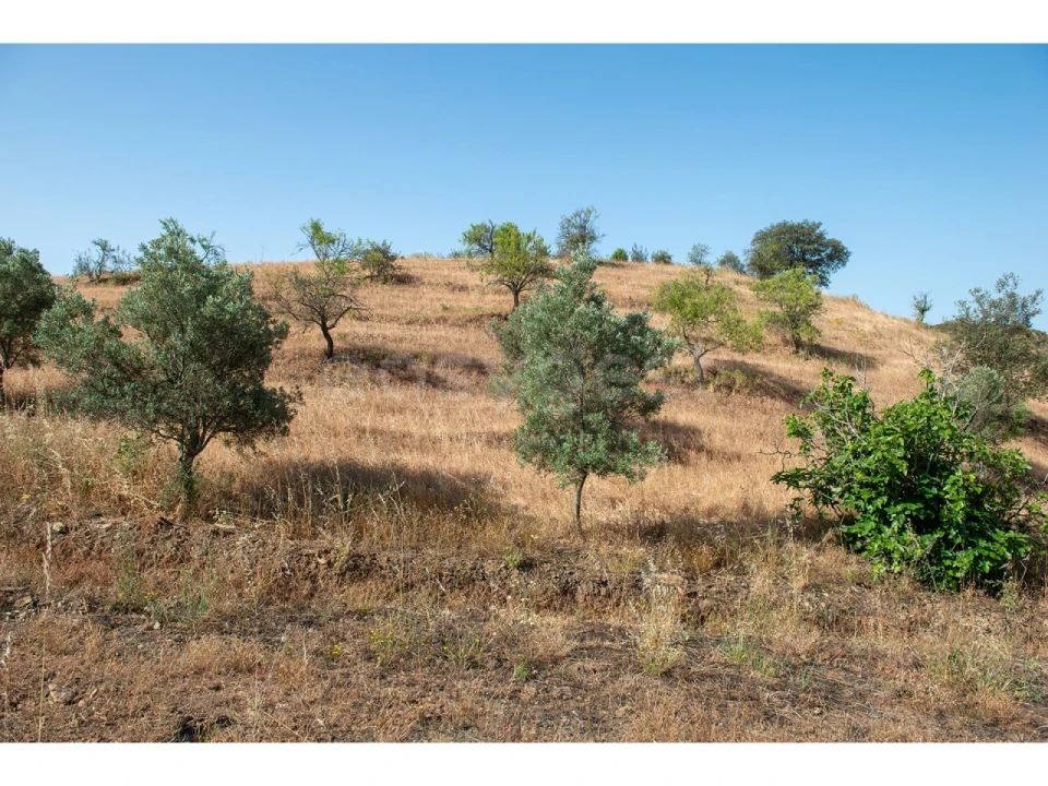 Terreno Agricola ou Rústico para Venda em Castro Marim Foto 19