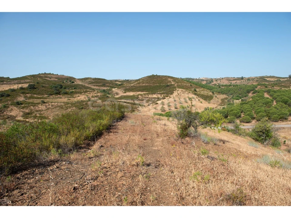 Terreno Agricola ou Rústico para Venda em Castro Marim Foto 23