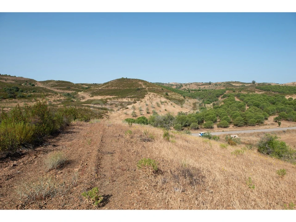 Terreno Agricola ou Rústico para Venda em Castro Marim Foto 24