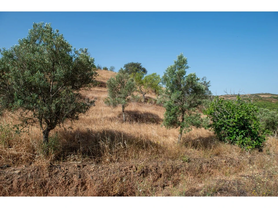 Terreno Agricola ou Rústico para Venda em Castro Marim Foto 26