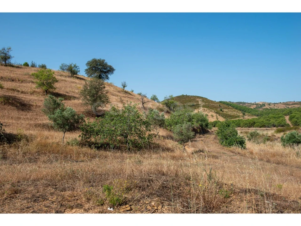 Terreno Agricola ou Rústico para Venda em Castro Marim Foto 27