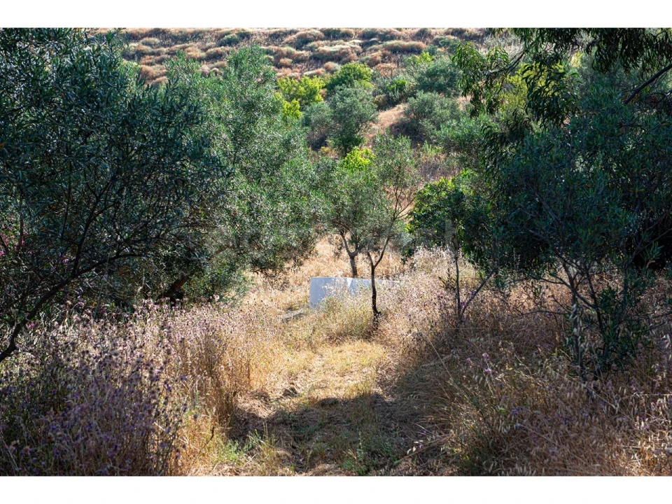 Terreno Agricola ou Rústico para Venda em Castro Marim Foto 29