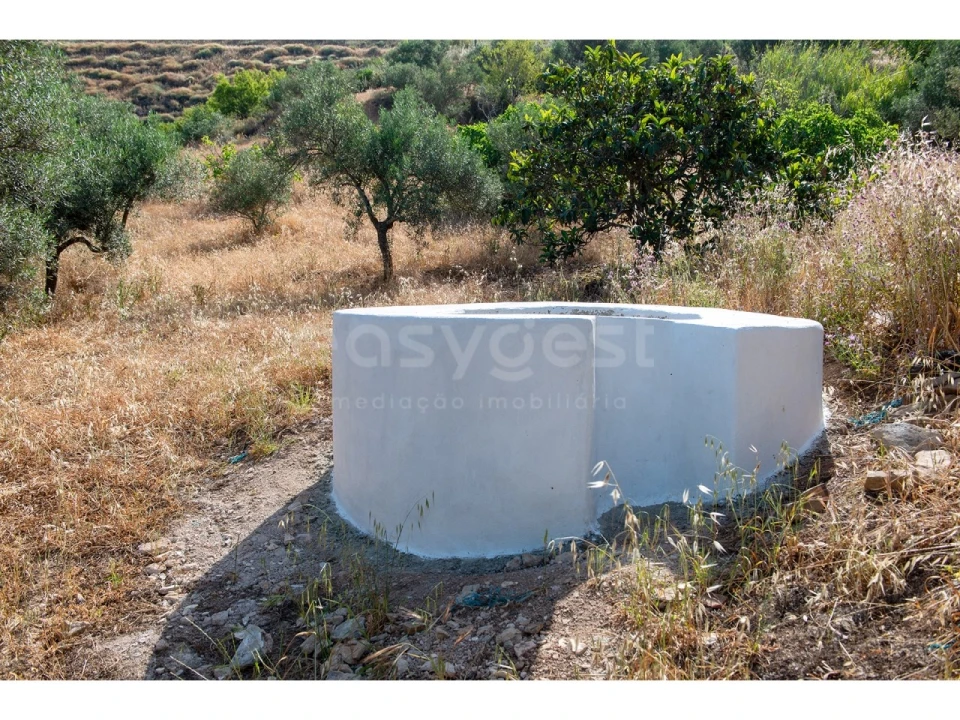 Terreno Agricola ou Rústico para Venda em Castro Marim Foto 31
