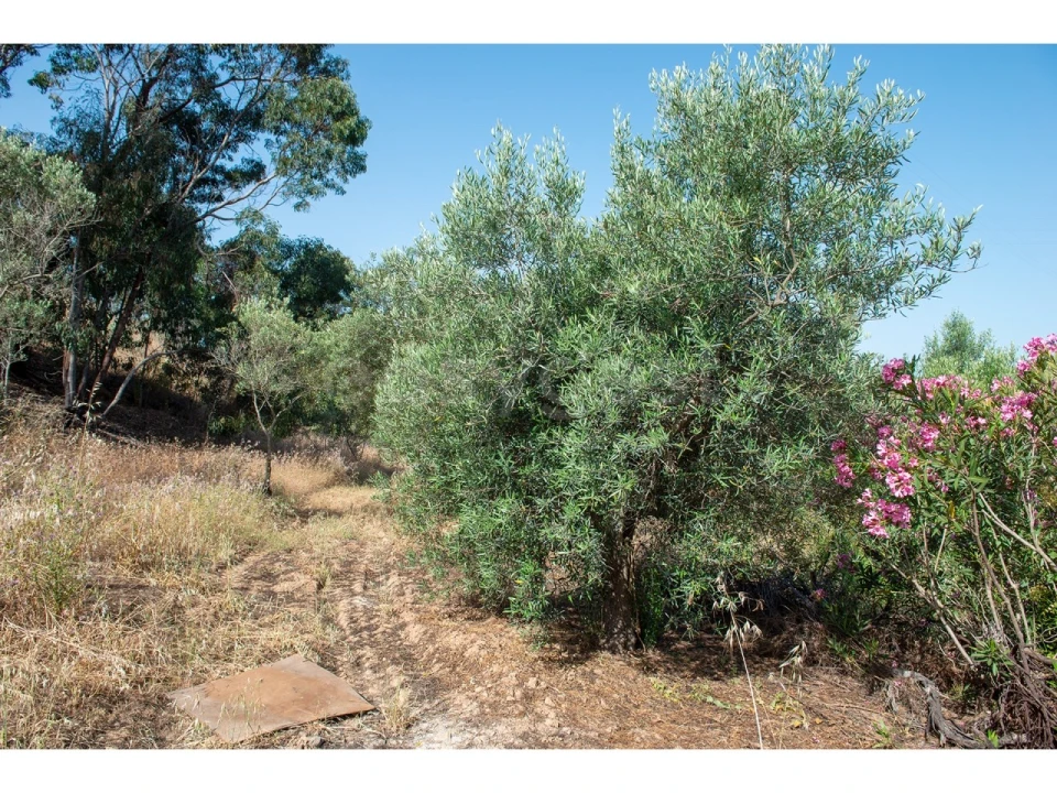 Terreno Agricola ou Rústico para Venda em Castro Marim Foto 32