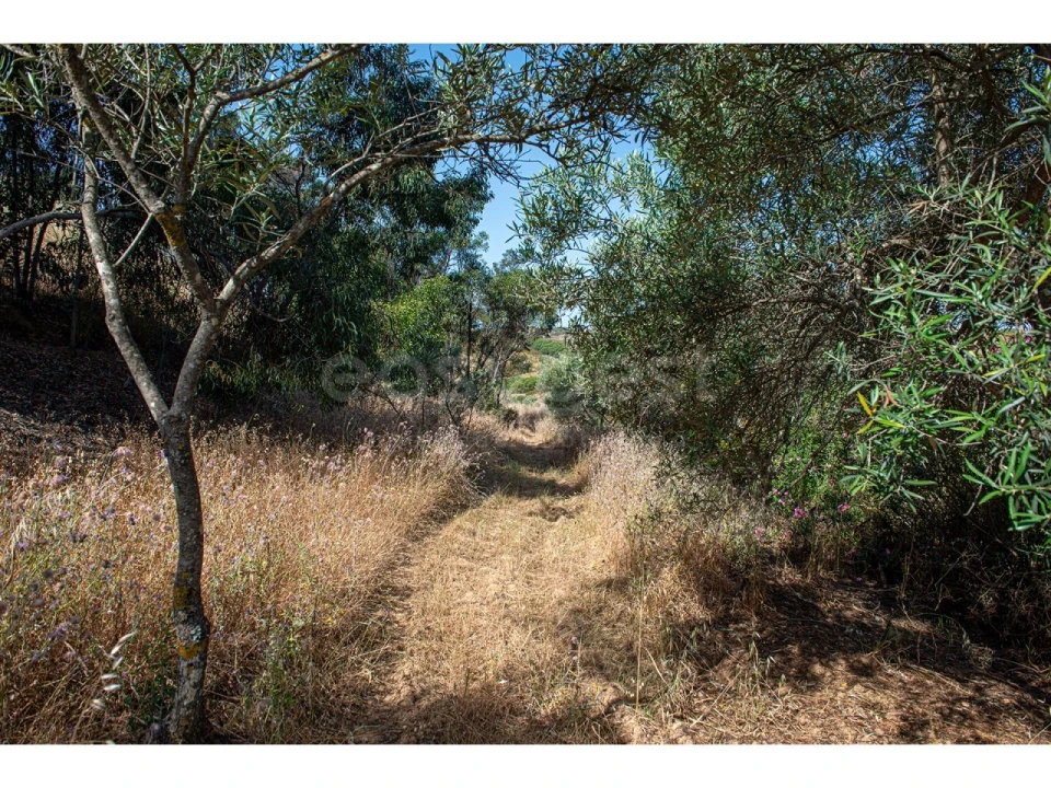 Terreno Agricola ou Rústico para Venda em Castro Marim Foto 38