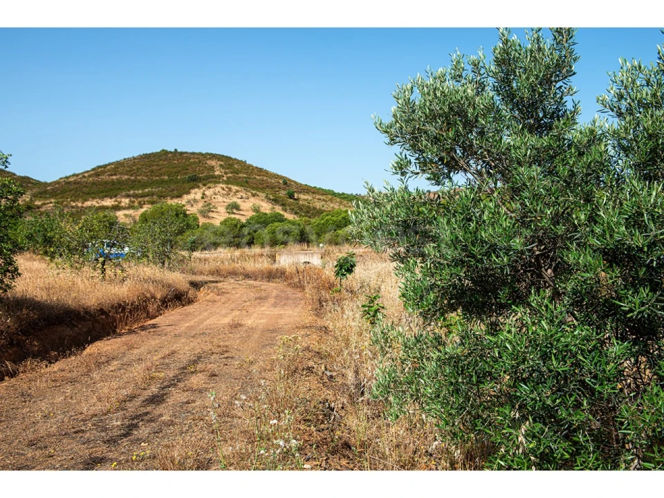 Terreno Agricola ou Rústico para Venda em Castro Marim Foto 42