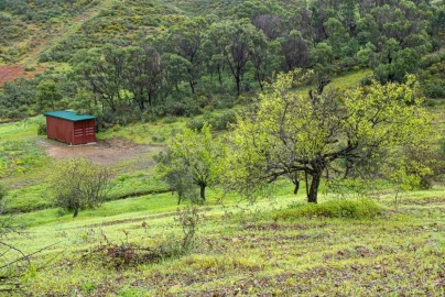 Terreno Agricola ou Rústico para Venda em Castro Marim
