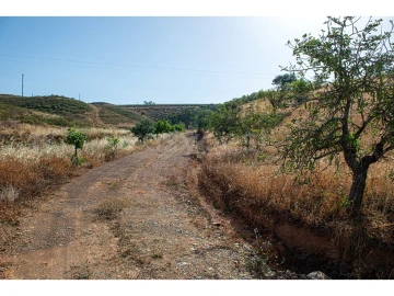 Terreno Agricola ou Rústico para Venda em Castro Marim