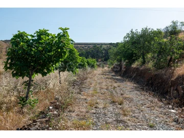 Terreno Agricola ou Rústico para Venda em Castro Marim
