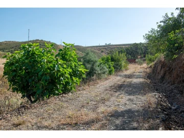 Terreno Agricola ou Rústico para Venda em Castro Marim