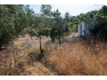 Terreno Agricola ou Rústico para Venda em Castro Marim