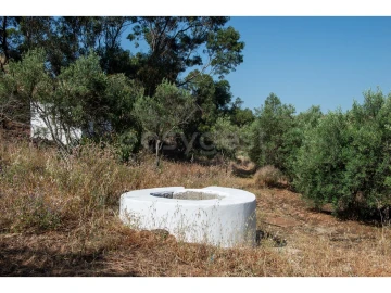 Terreno Agricola ou Rústico para Venda em Castro Marim