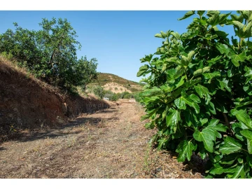 Terreno Agricola ou Rústico para Venda em Castro Marim
