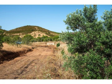 Terreno Agricola ou Rústico para Venda em Castro Marim