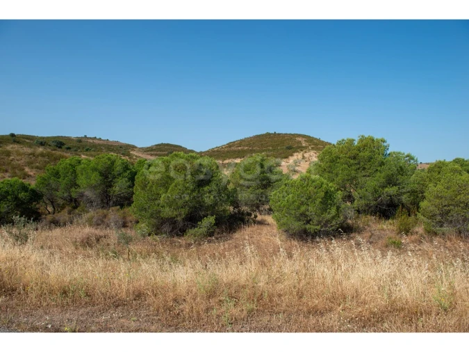Terreno Agricola ou Rústico para Venda em Castro Marim Foto 6