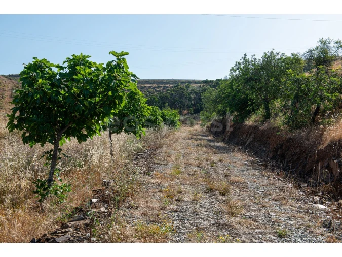 Terreno Agricola ou Rústico para Venda em Castro Marim Foto 11