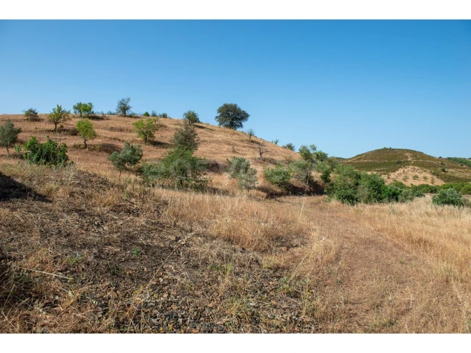 Terreno Agricola ou Rústico para Venda em Castro Marim Foto 17