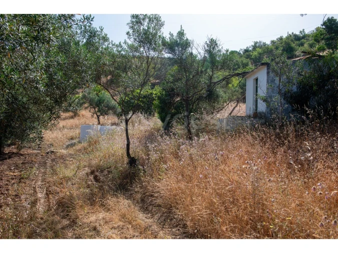 Terreno Agricola ou Rústico para Venda em Castro Marim Foto 30