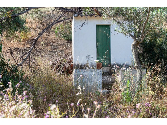 Terreno Agricola ou Rústico para Venda em Castro Marim Foto 37