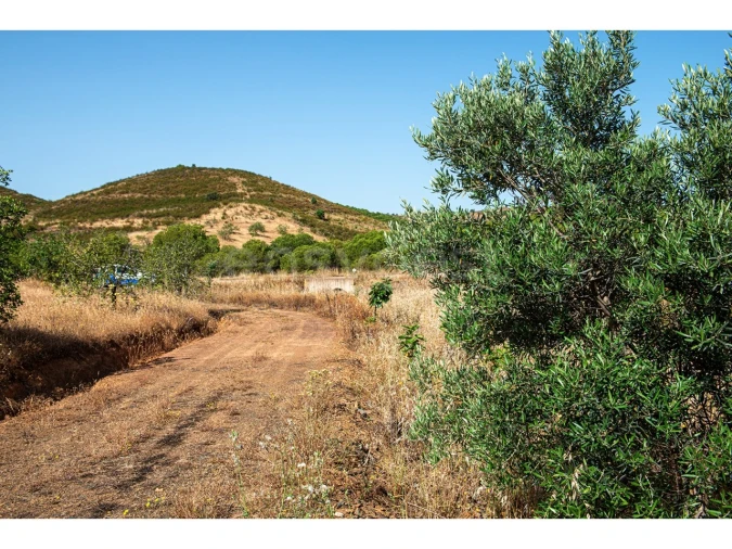 Terreno Agricola ou Rústico para Venda em Castro Marim Foto 42