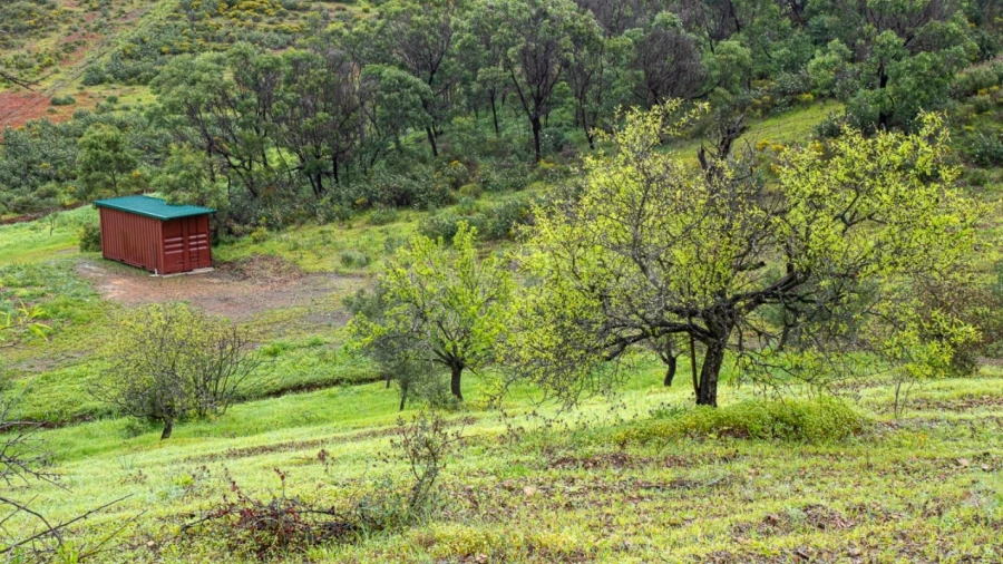 Terreno Agricola ou Rústico para Venda em Castro Marim