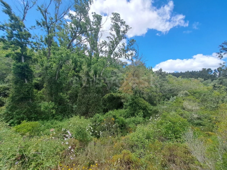 Terreno Agricola ou Rústico para Venda em Ourique Foto 1