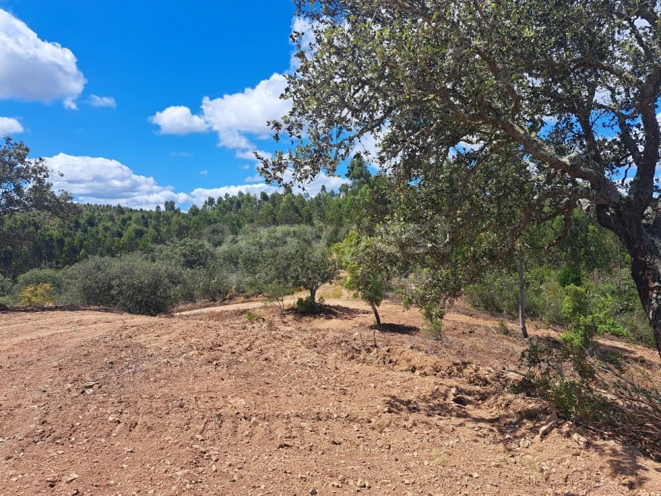 Terreno Agricola ou Rústico para Venda em Ourique Foto 4