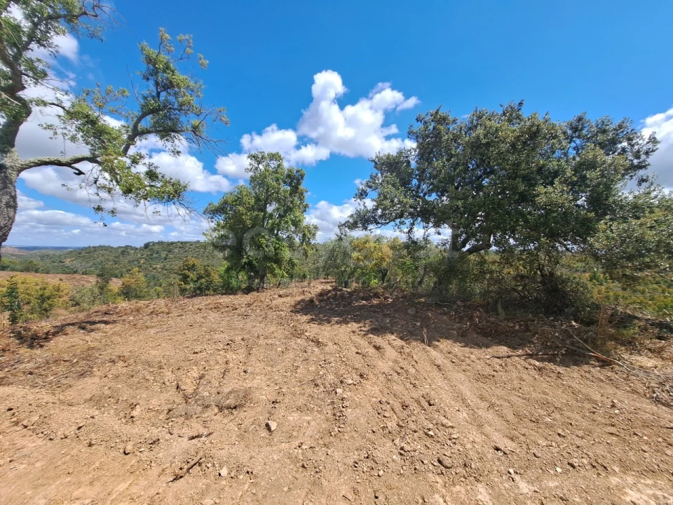 Terreno Agricola ou Rústico para Venda em Ourique Foto 6