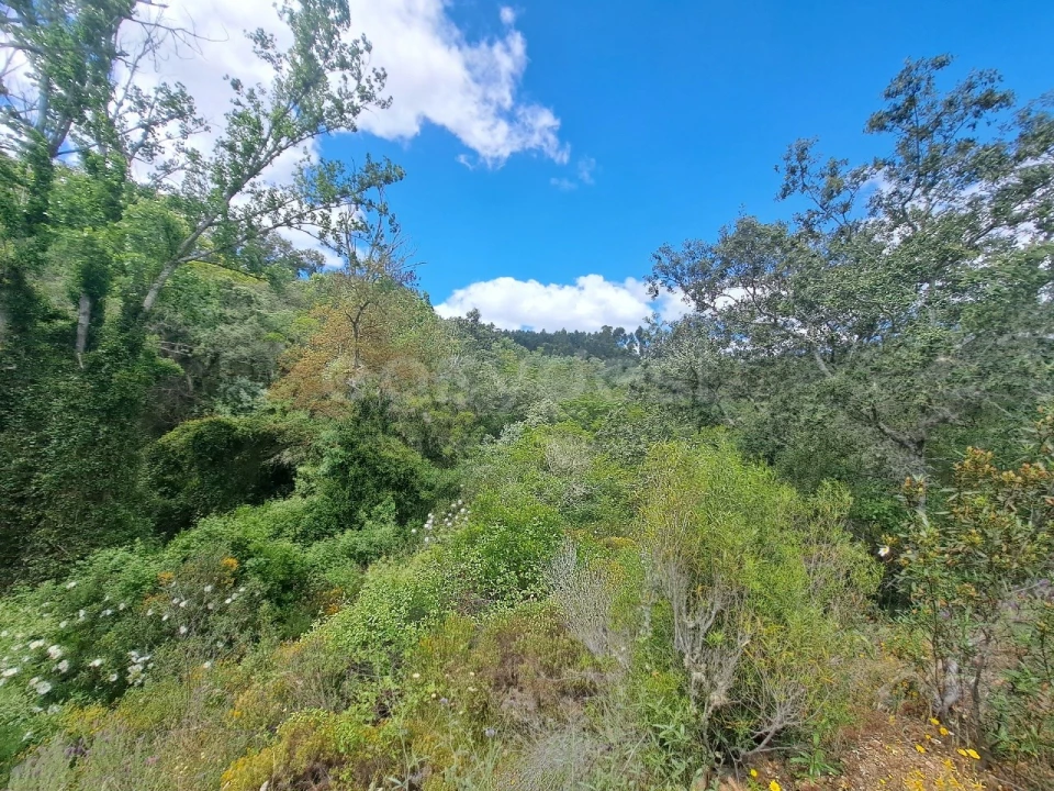 Terreno Agricola ou Rústico para Venda em Ourique Foto 19