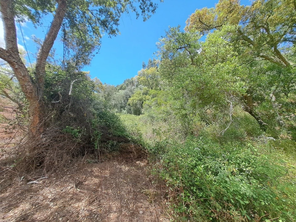 Terreno Agricola ou Rústico para Venda em Ourique Foto 25
