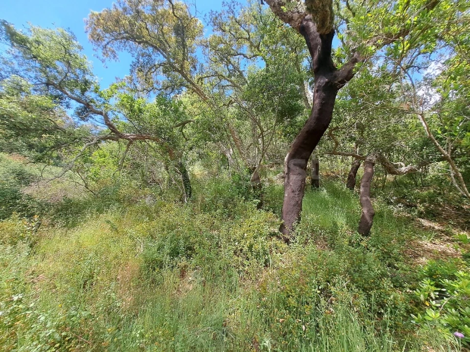 Terreno Agricola ou Rústico para Venda em Ourique Foto 26