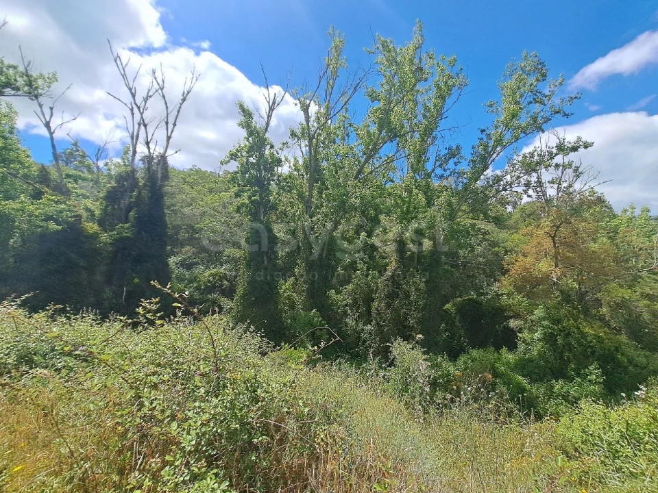 Terreno Agricola ou Rústico para Venda em Ourique Foto 32