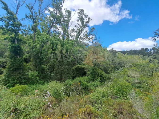 Terreno Agricola ou Rústico para Venda em Ourique Foto 1