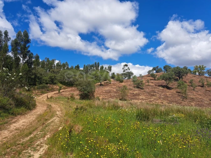 Terreno Agricola ou Rústico para Venda em Ourique Foto 3