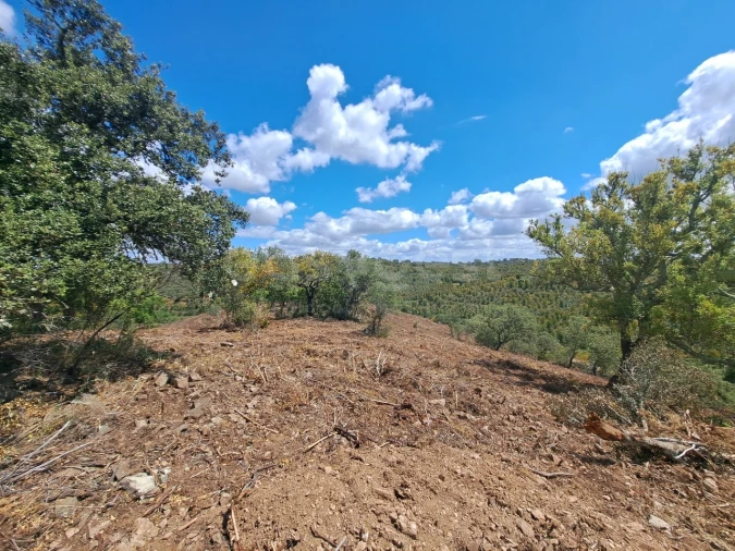 Terreno Agricola ou Rústico para Venda em Ourique Foto 8