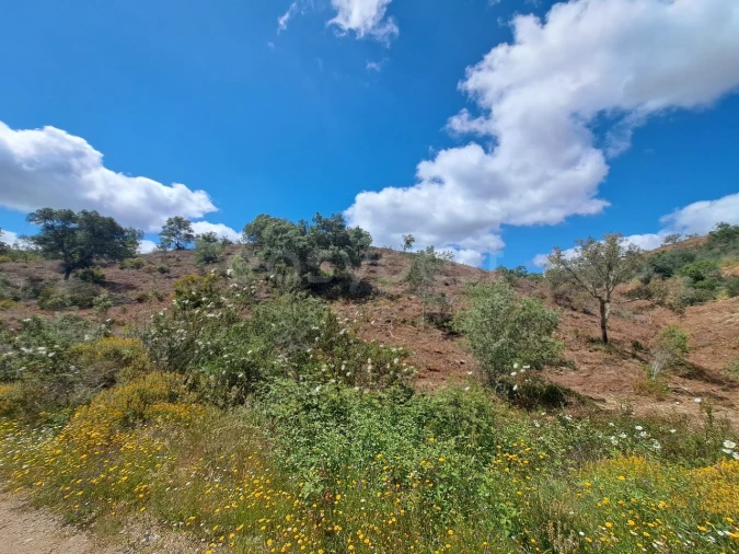 Terreno Agricola ou Rústico para Venda em Ourique Foto 9