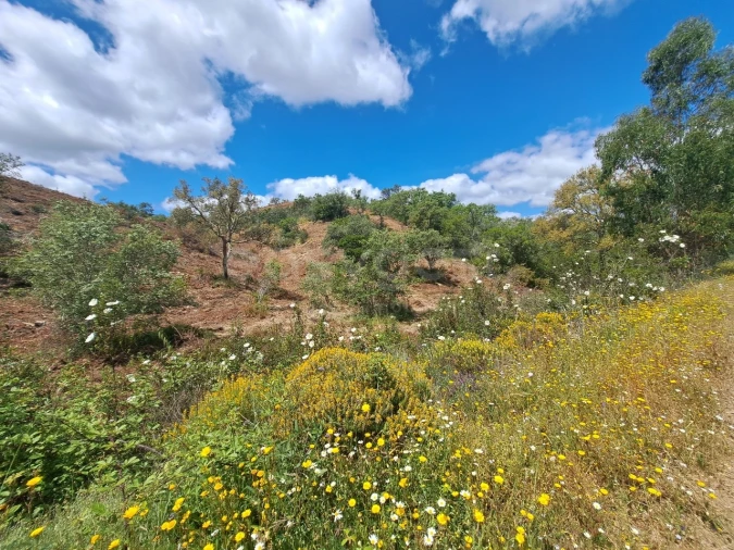 Terreno Agricola ou Rústico para Venda em Ourique Foto 10
