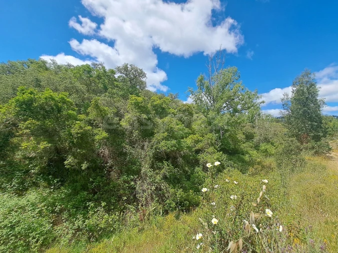 Terreno Agricola ou Rústico para Venda em Ourique Foto 15