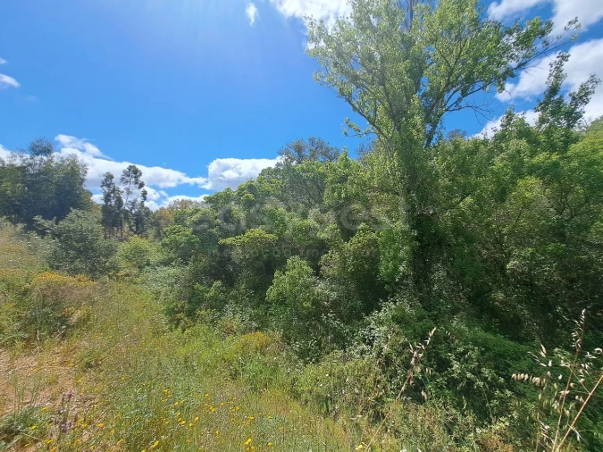 Terreno Agricola ou Rústico para Venda em Ourique Foto 16