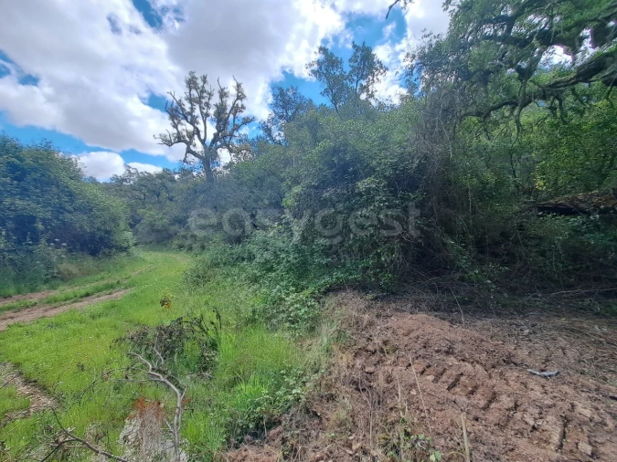 Terreno Agricola ou Rústico para Venda em Ourique Foto 23