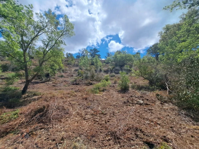 Terreno Agricola ou Rústico para Venda em Ourique Foto 24