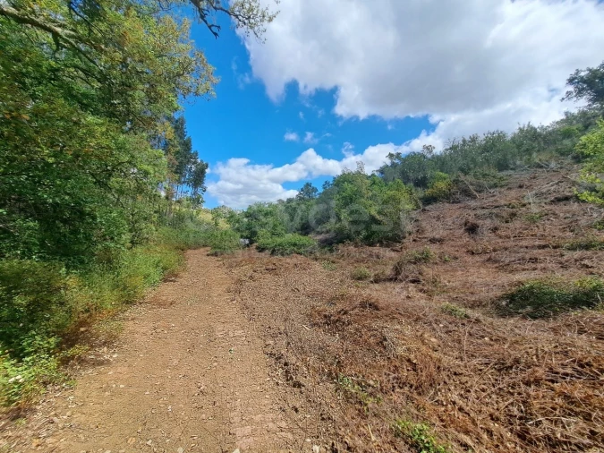 Terreno Agricola ou Rústico para Venda em Ourique Foto 27